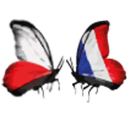 Traductions Tradum — Logo papillon